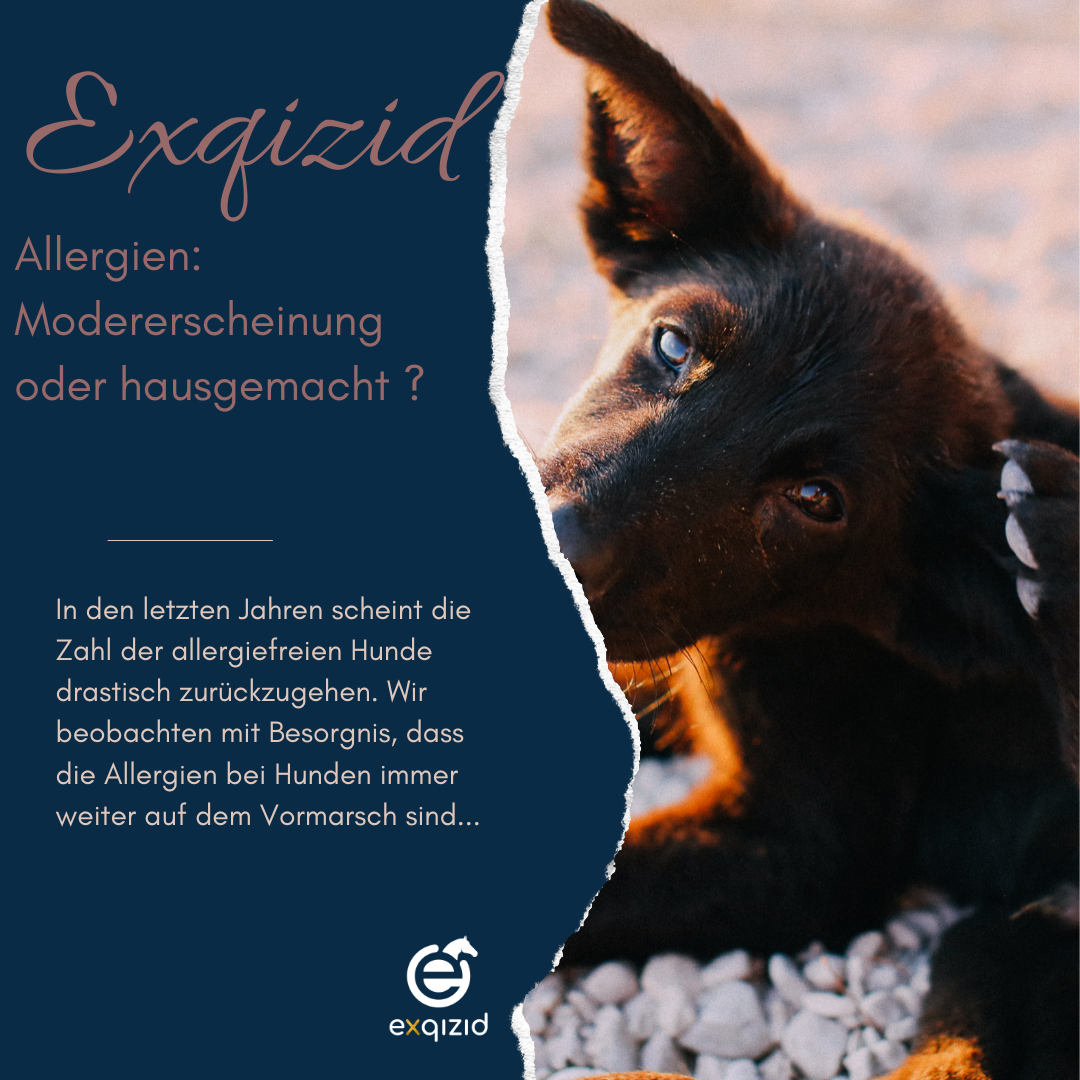 Allergien: Modeerscheinung oder hausgemacht ?