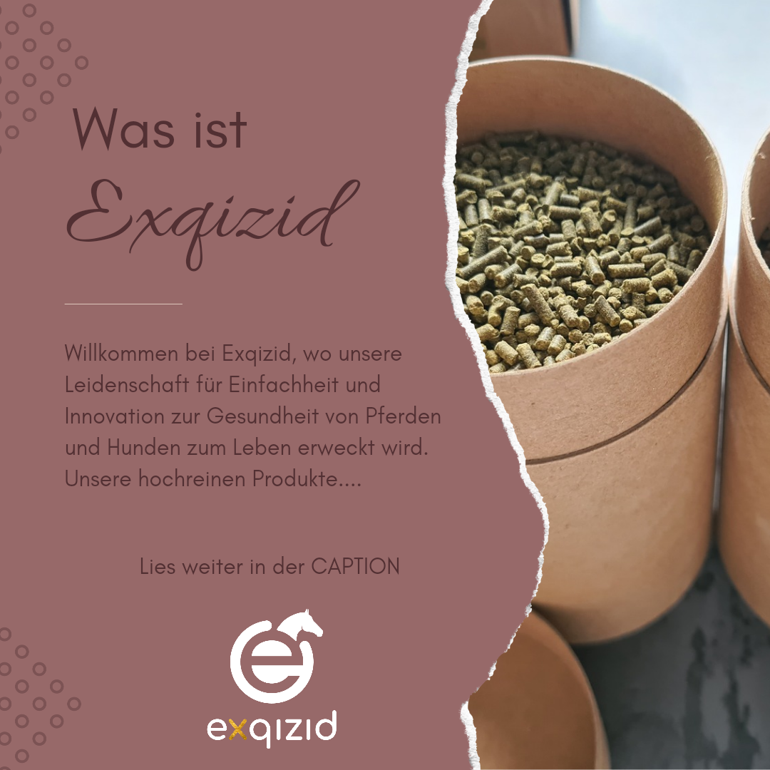 Was ist Exqizid