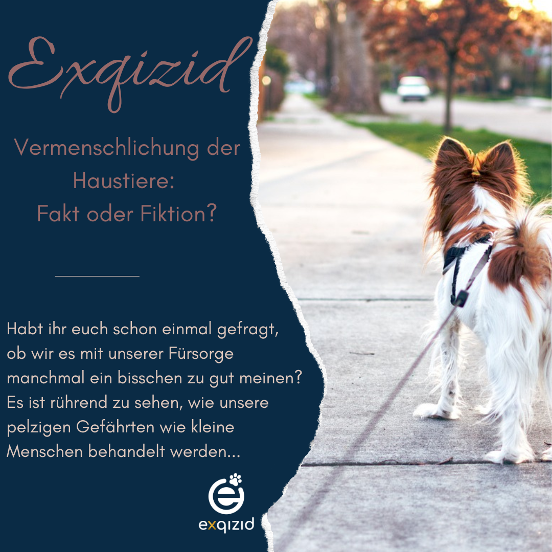 Vermenschlichung der Haustiere: Fakt oder Fiktion?