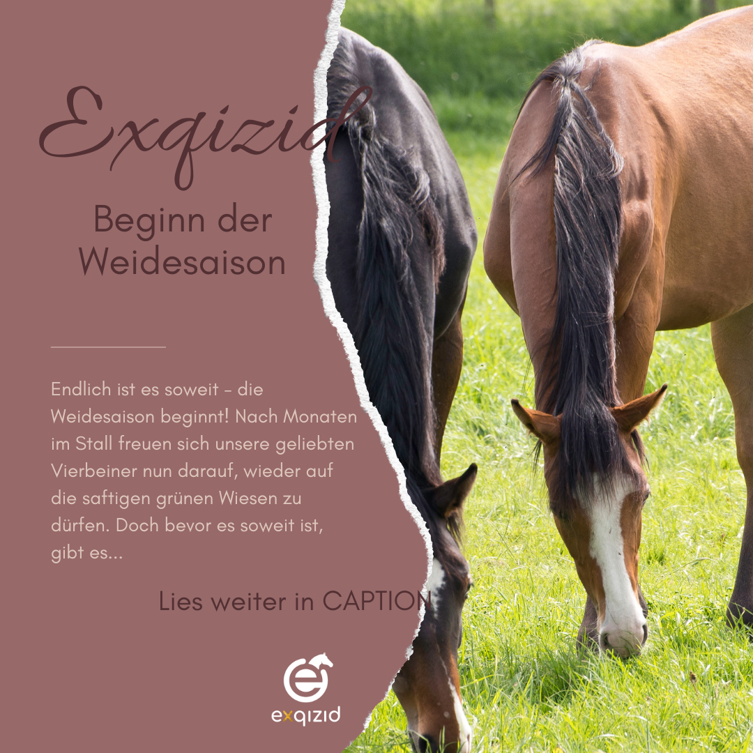 Beginn der Weidesaison