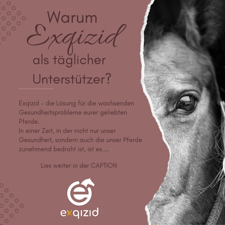 Warum Exqizid als täglicher Begleiter