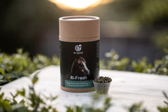 Exqizid Pferd Nahrungsergänzungsmittel Frühjahr & Herbst Bundle