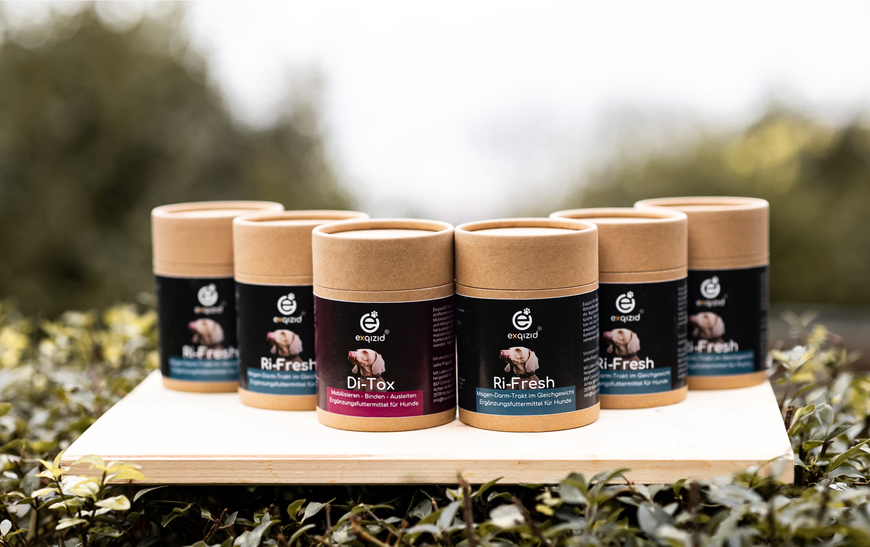 Vitality-Kit 6 mit 1 Dose Di-tox und 5 Dosen Ri-Fresh 