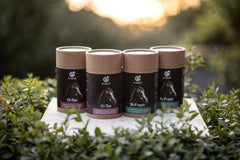 Exqizid Pferd Nahrungsergänzungsmittel Frühjahr & Herbst Bundle