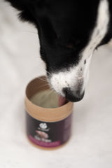 Hund leckt Di-Tox direkt aus der Dose