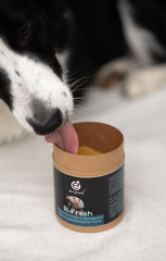 Exqizid Nahrungsergänzungsmittel Hund Ri-Fresh