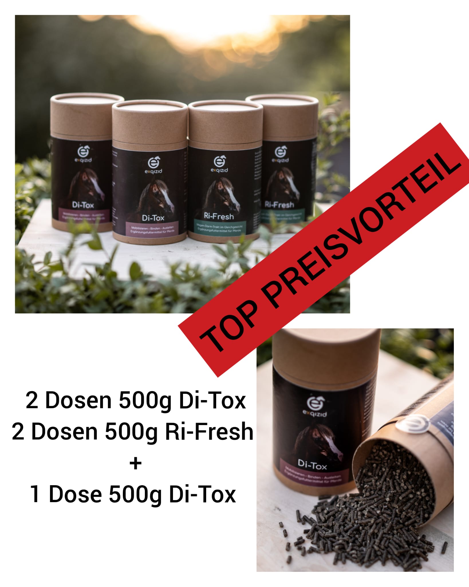 Exqizid Pferd Nahrungsergänzungsmittel Intensive Care Bundle