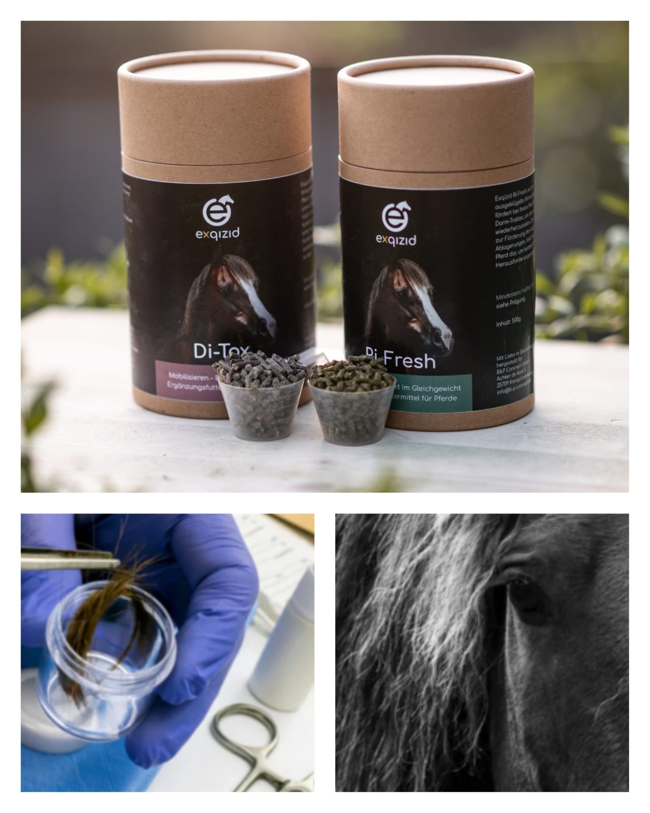 Exqizid Pferd Nahrungsergänzungsmittel Clean & Clear