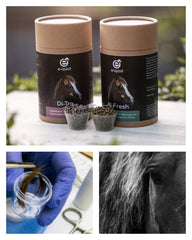 Exqizid Pferd Nahrungsergänzungsmittel Clean & Clear